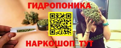 гашик Мариинск