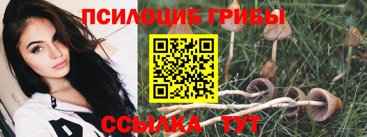 Горно-Алтайск  Галлюциногенные грибы Magic Shrooms  где найти наркотики  Вход с VPN 